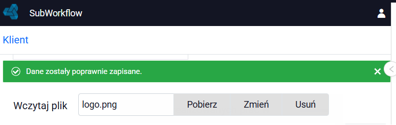 Obraz 133